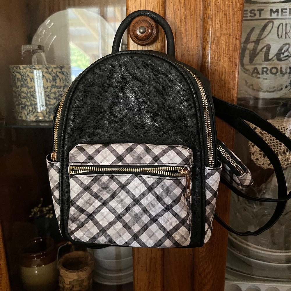 Small backpack purse